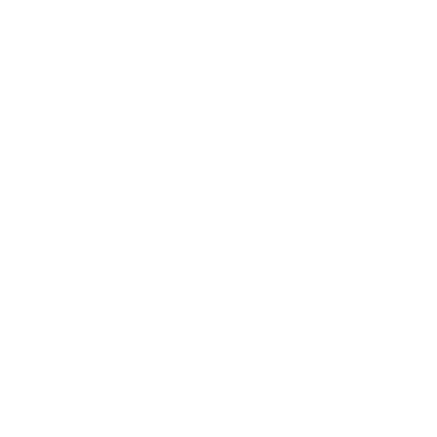 ev charger icon white